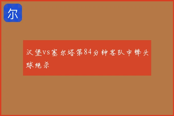 汉堡vs塞尔塔第84分钟客队中锋头球绝杀